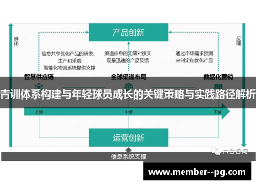 青训体系构建与年轻球员成长的关键策略与实践路径解析