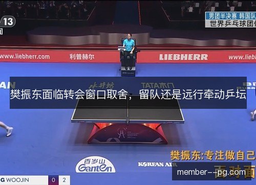 樊振东面临转会窗口取舍,留队还是远行牵动乒坛 樊振东面临转会窗口取舍,留队还是远行牵动乒坛